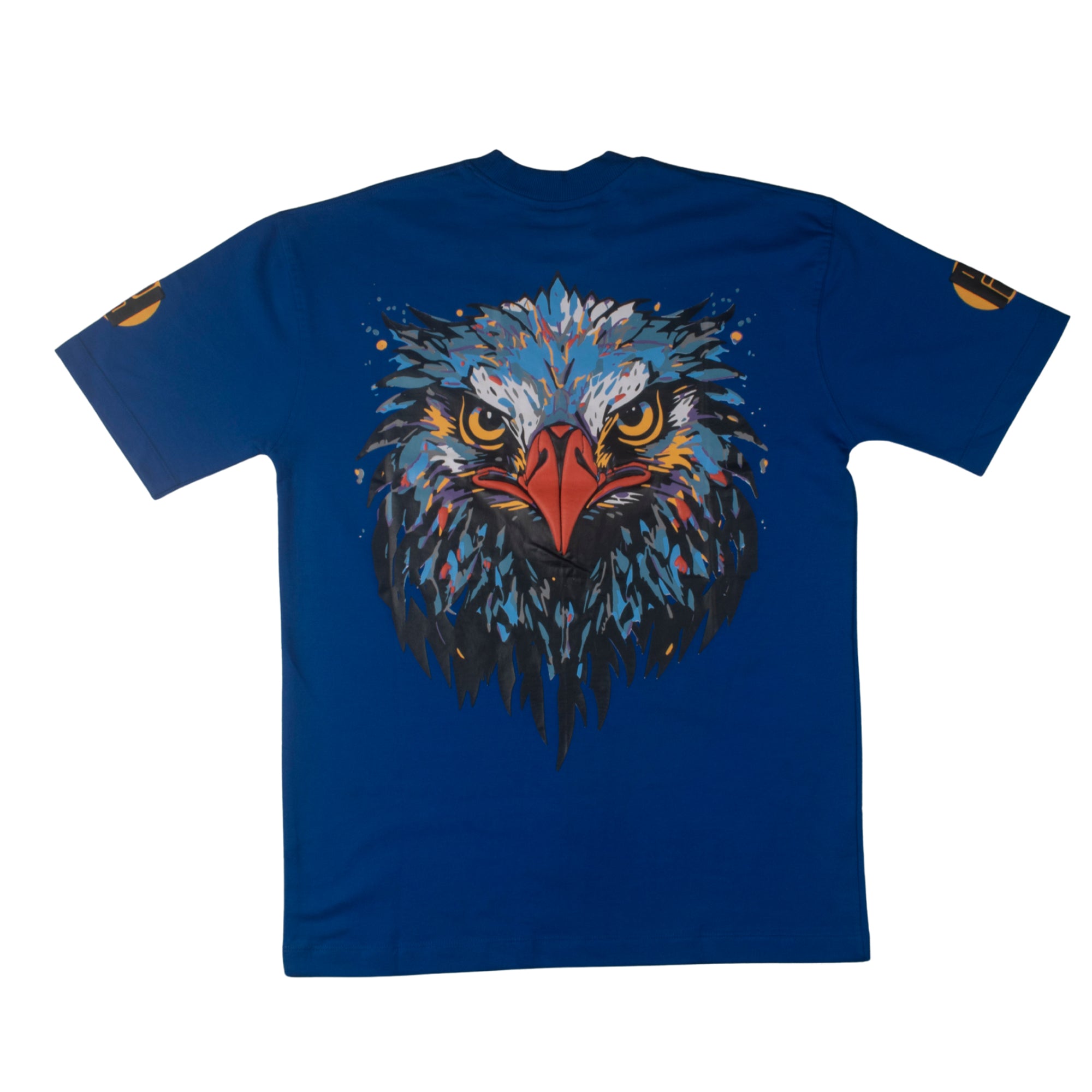 THE EAGLE'S FLIGHT.