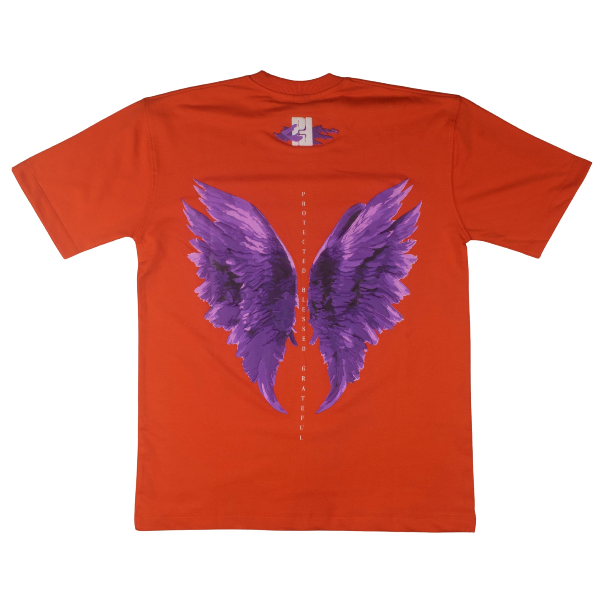 THE GUARDIAN ANGEL.